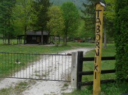 Vhod na taborni prostor